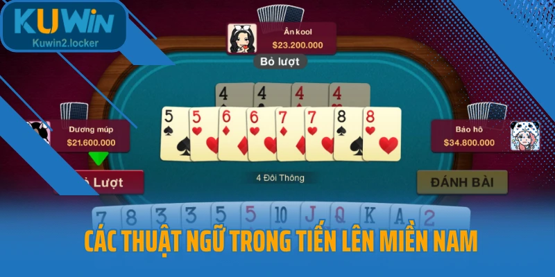 Các thuật ngữ trong tiến lên miền Nam